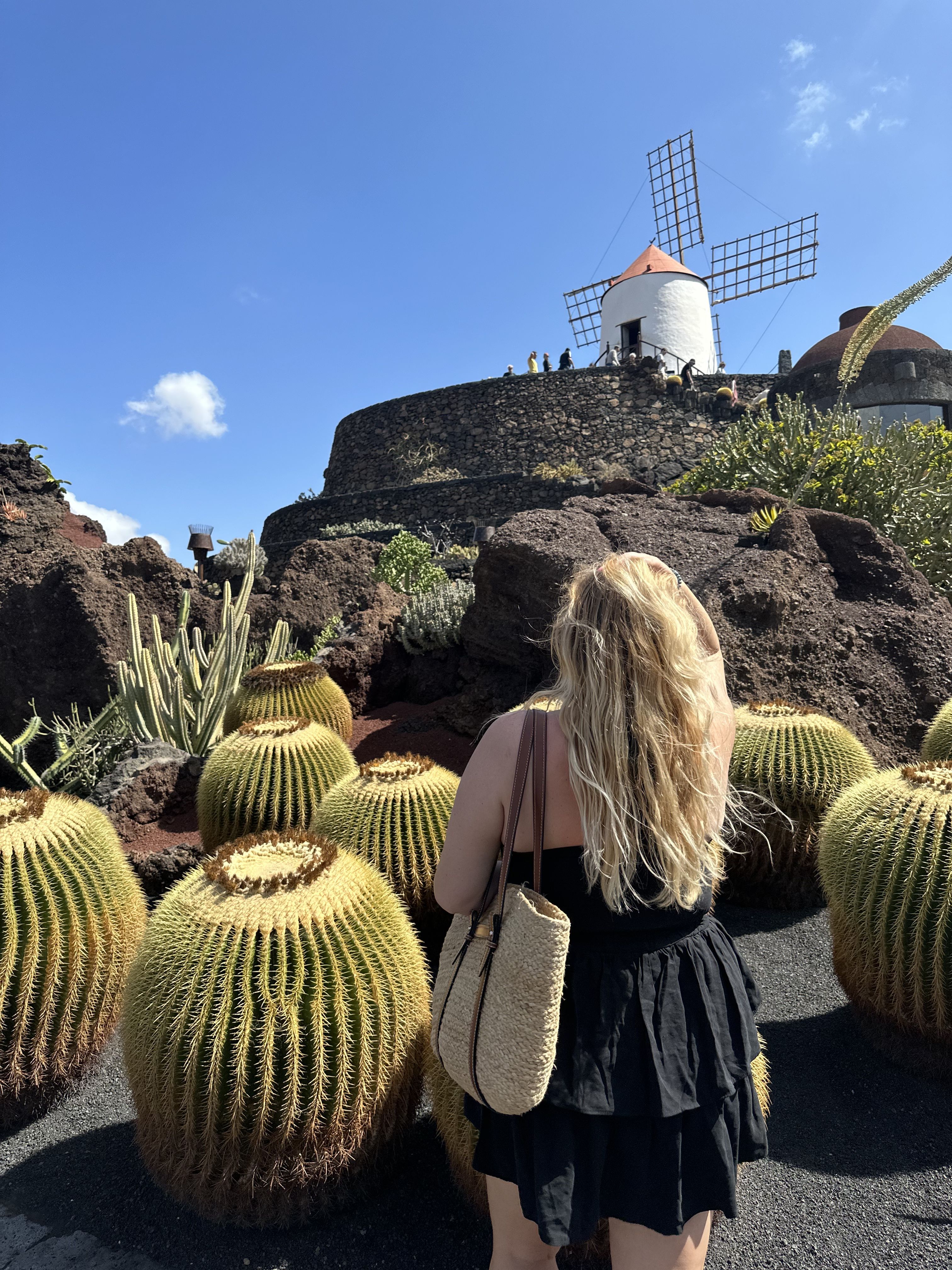 Jardín de Cactus