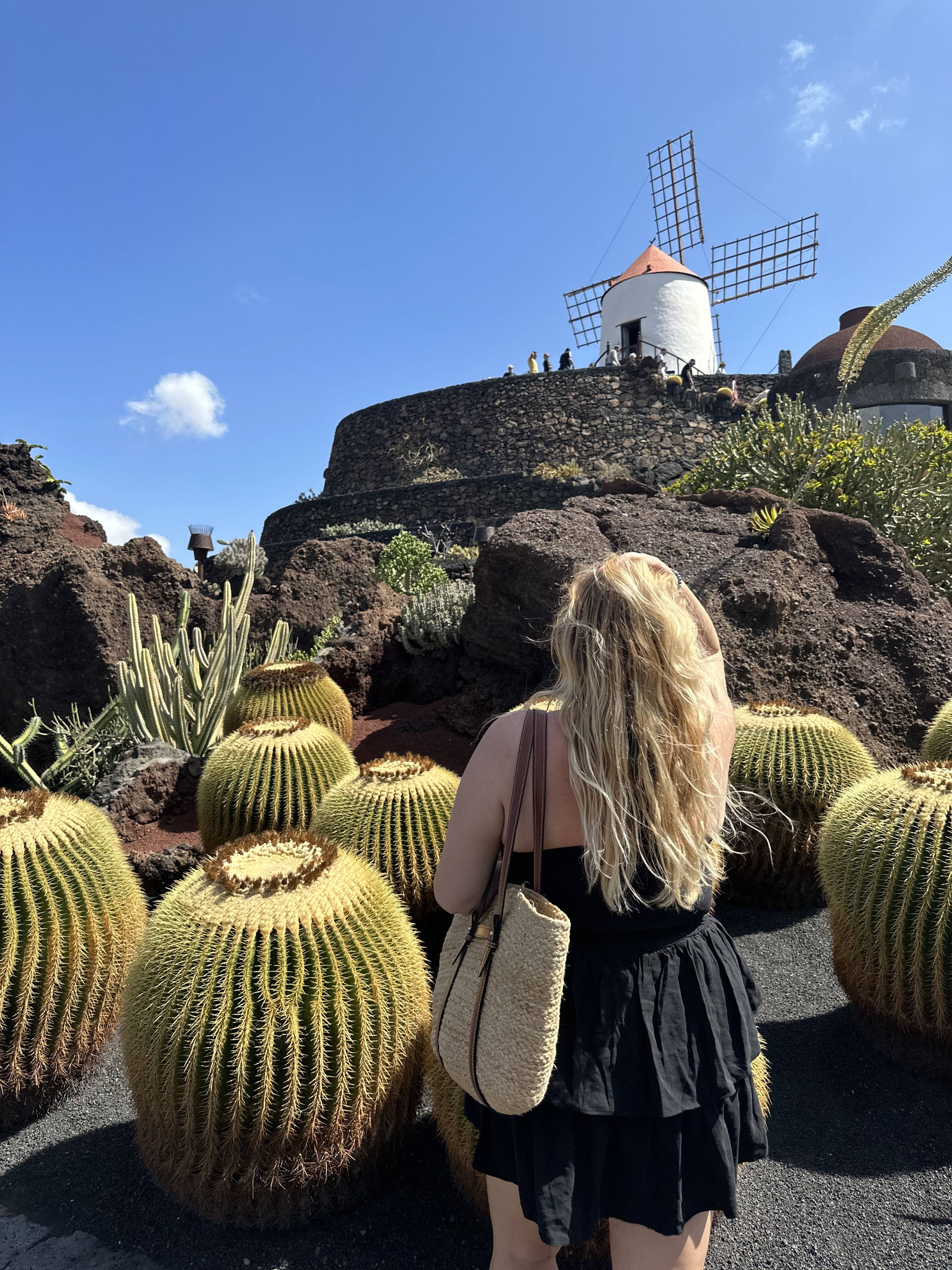 Jardín de Cactus