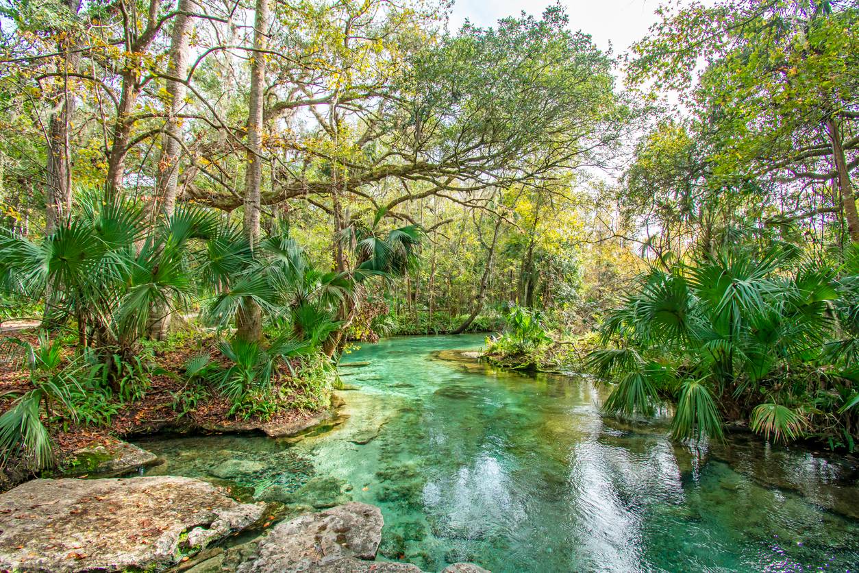 Kelly Rock Springs Park