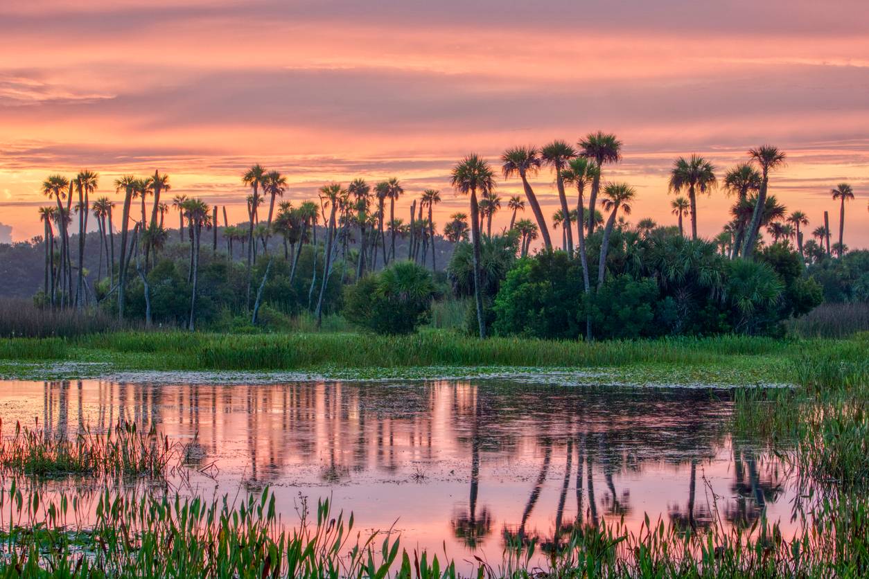 Wetlands Park 