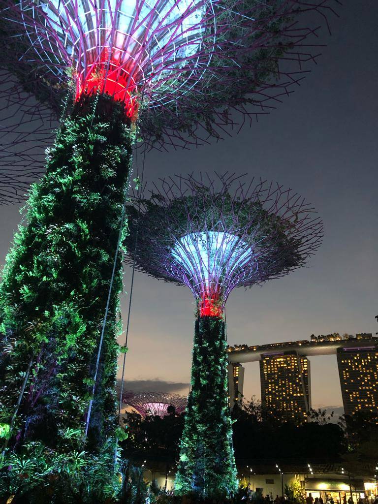 Gardens by the Bay i hotel Marina Bay Sands | 📸 @paulina.kolaczek
