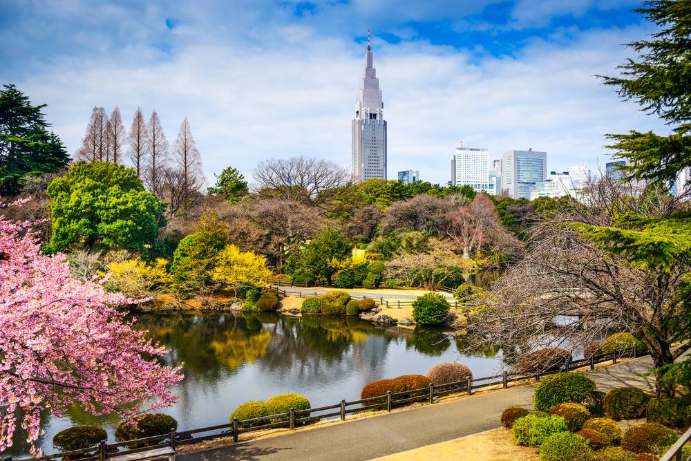 Ogród Shinjuku Gyoen