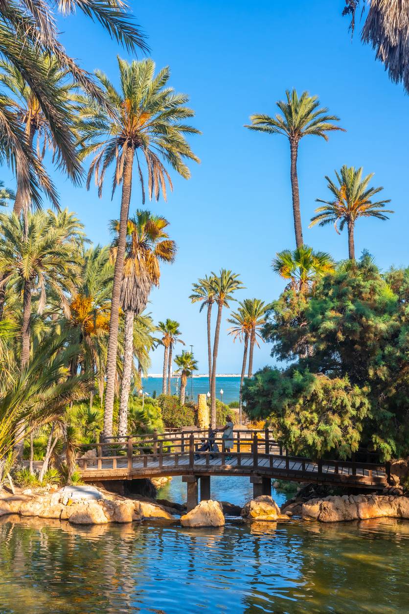Park El Palmeral