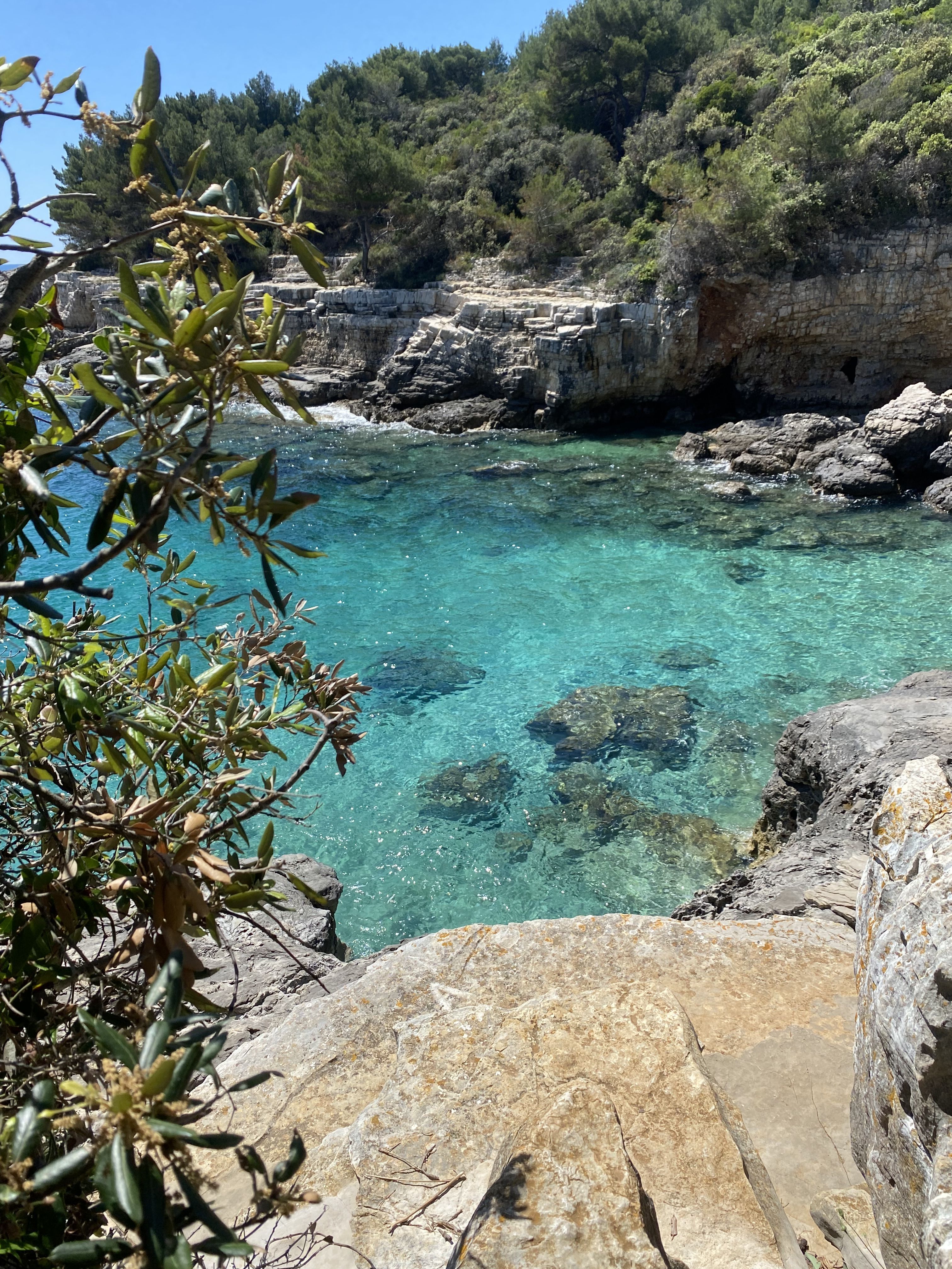 Verudela beach – Sveta stijena