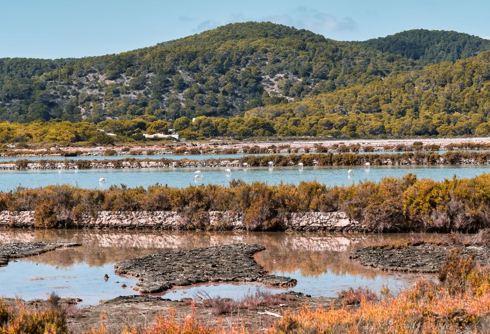 Přírodní park Ses Salines