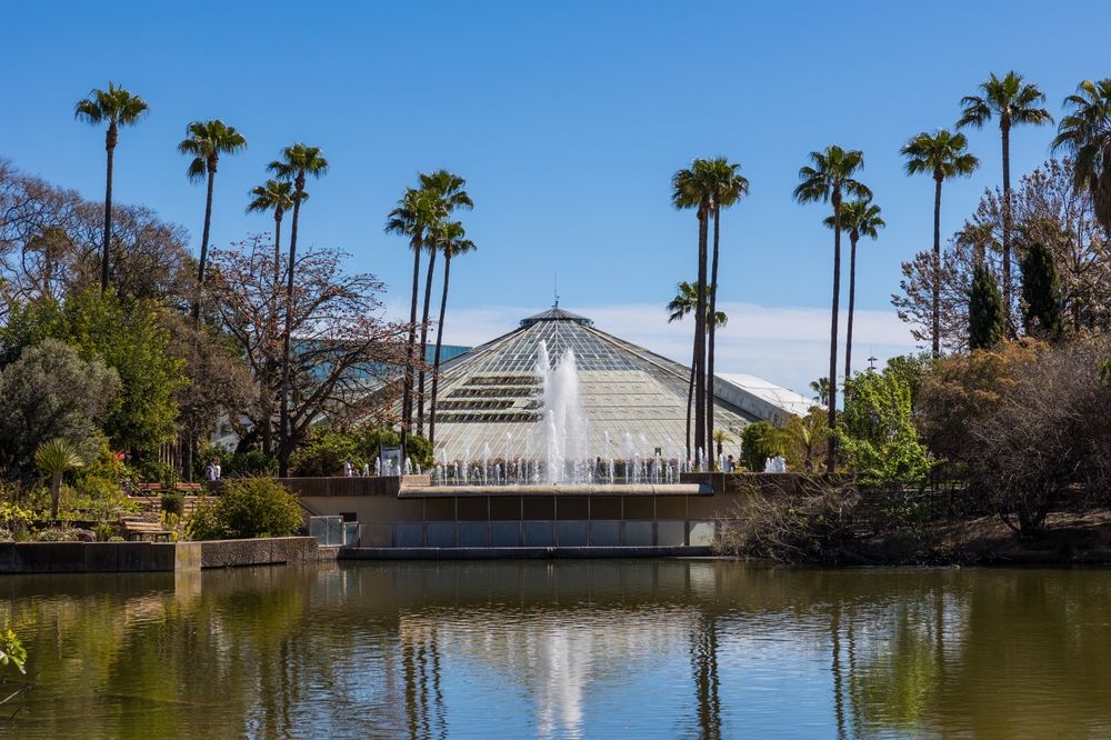 Park Phoenix