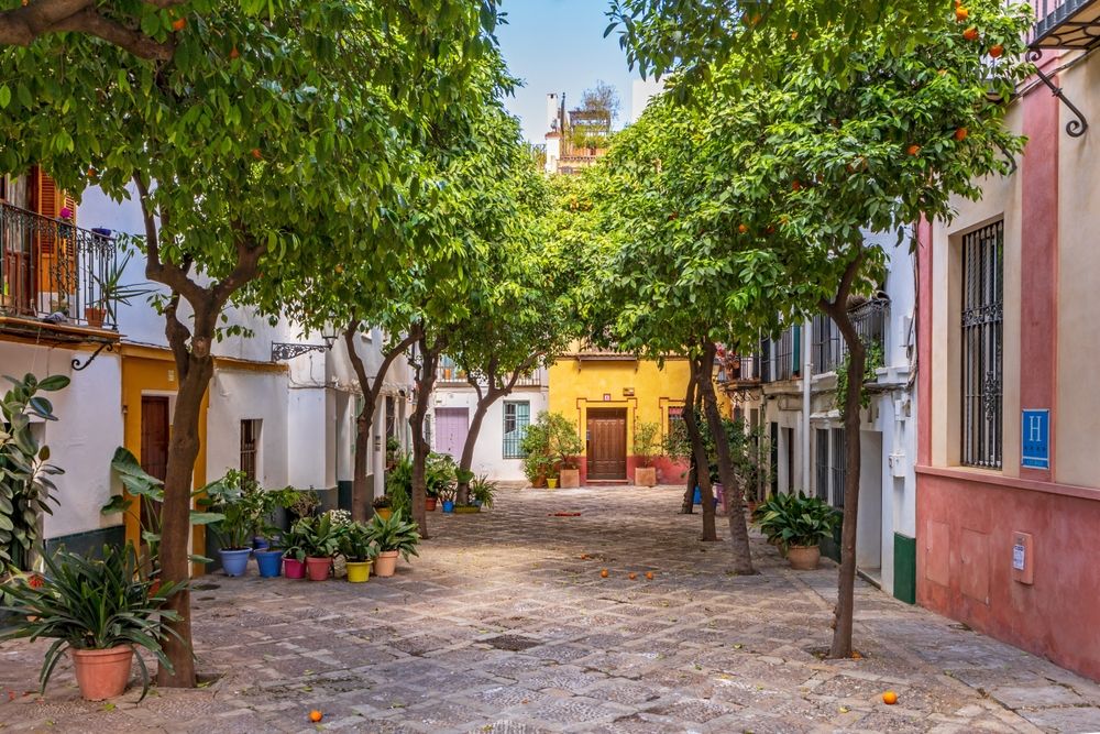 Barrio Santa Cruz