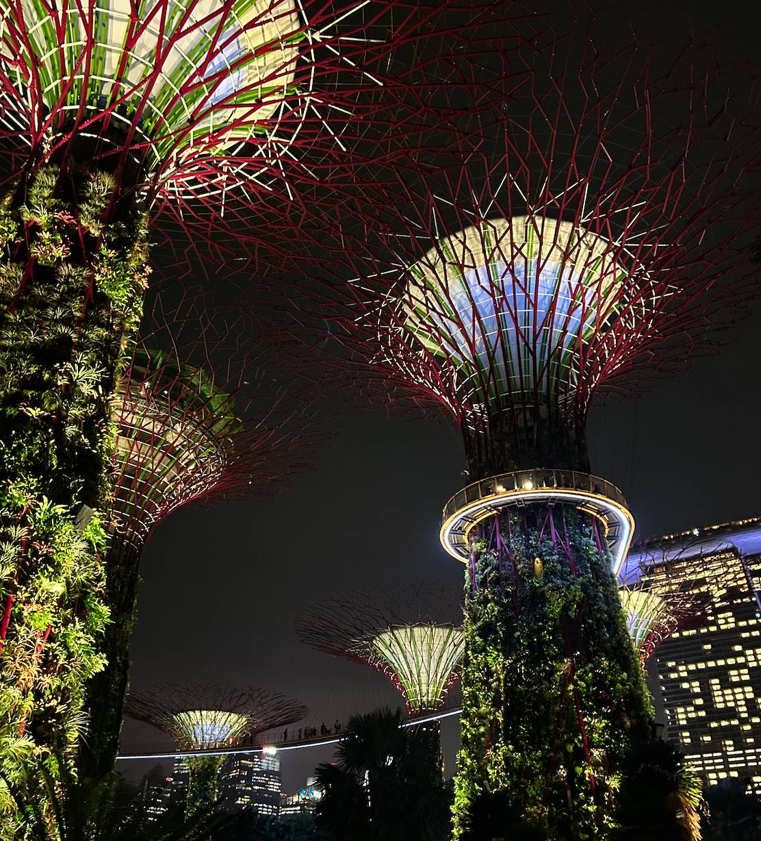 Gardens by the Bay