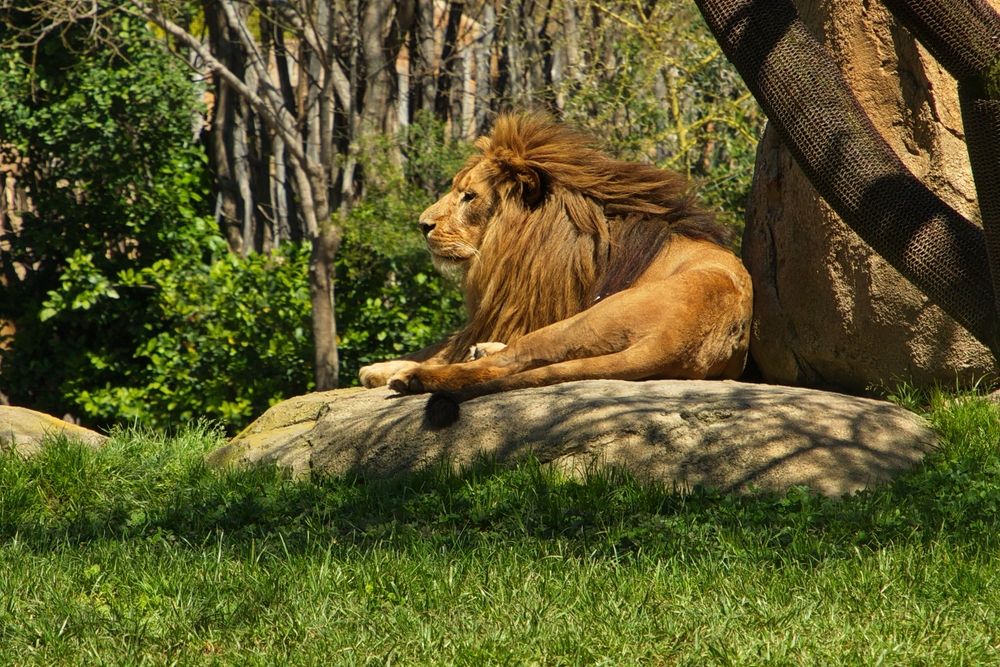 Bioparc Valencia
