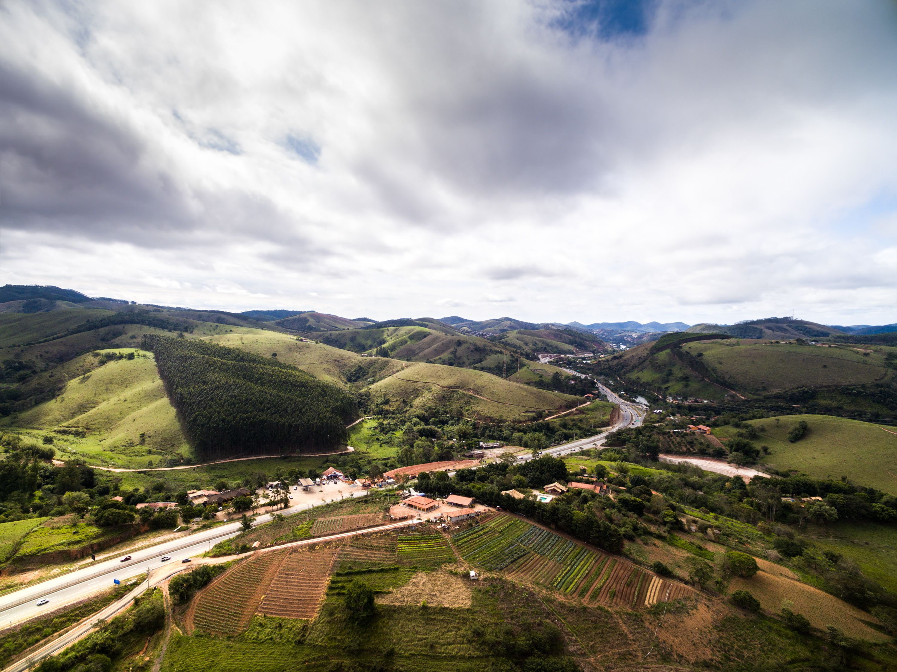 Campinas