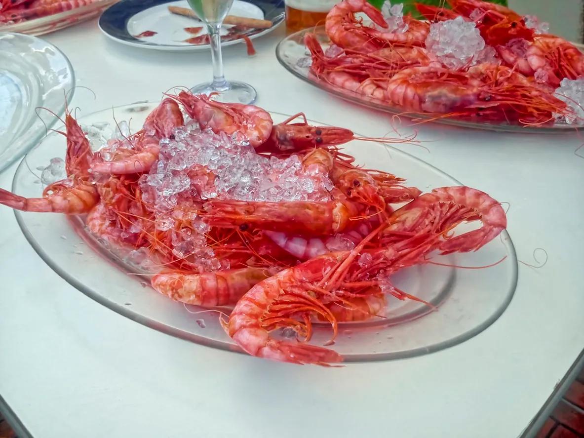 Gamba Roja