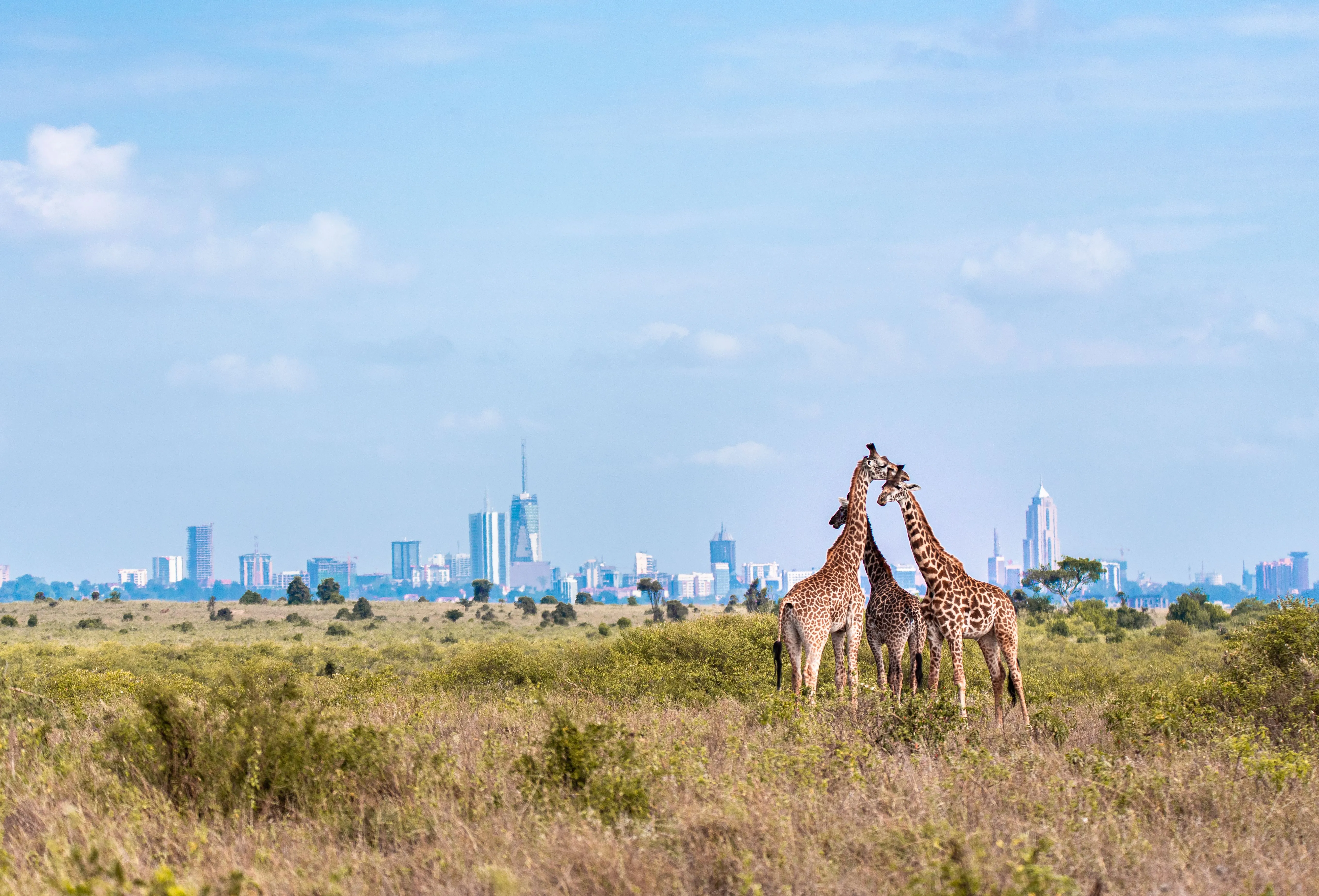 Kenya