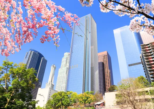 Los Angeles