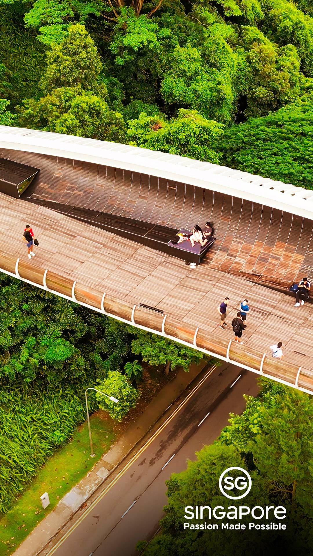 Henderson Waves Bridge