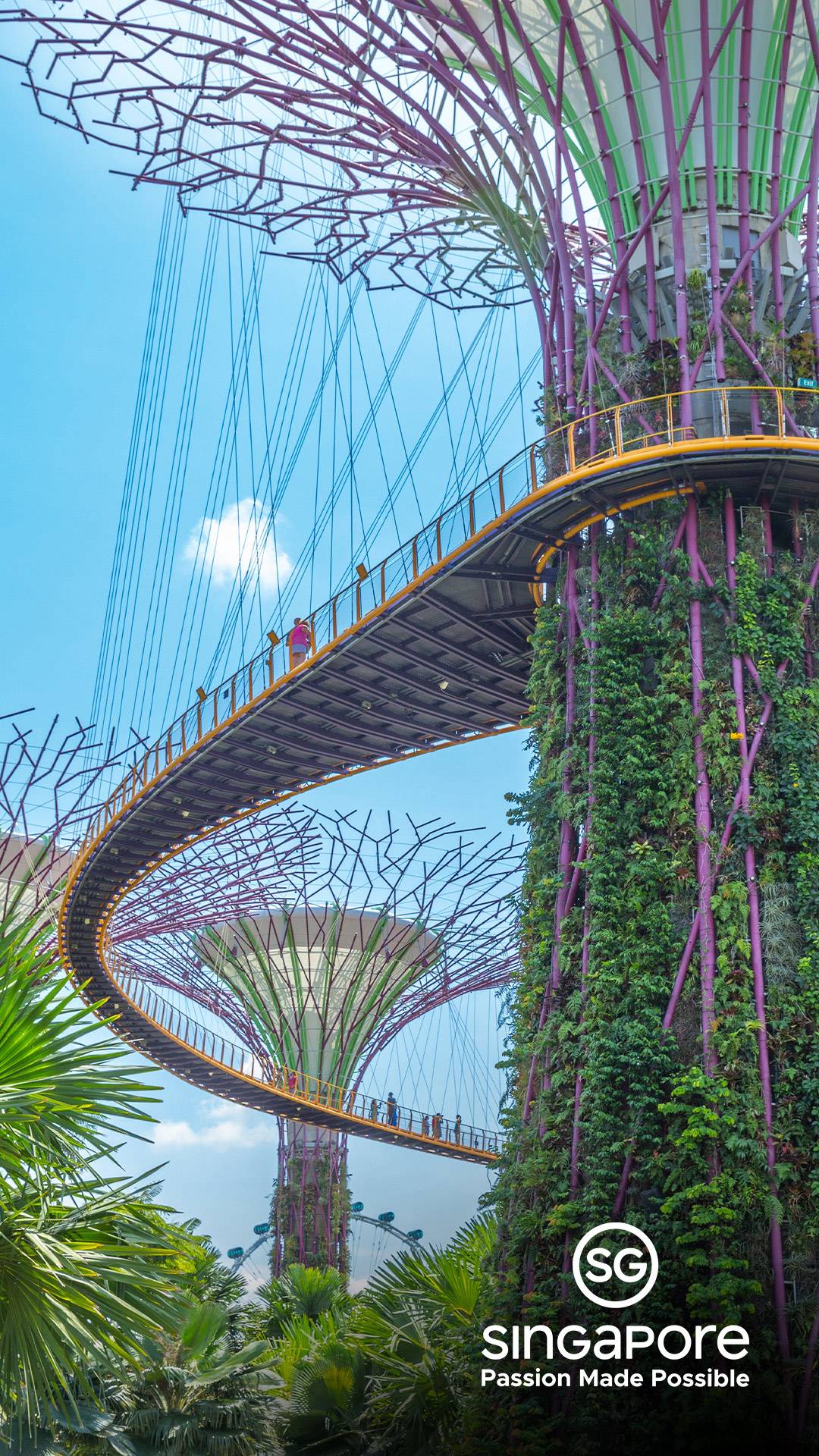 Super Tree Grove